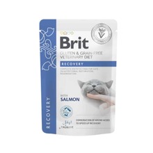 Konserv kassidele Brit GF Veterinary Diets Recovery lõhega, 85 g