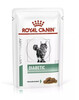 Dieettoit kassipoegadele Royal Canin Diabetic, 12 x 85 g