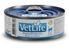 Kassi märgtoit Farmina Vet Life Hypoallergenic Pork & Potato, 85 g