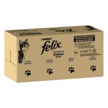 Märgtoit kassipoegadele Purina Felix Mix, 120 x 85 g