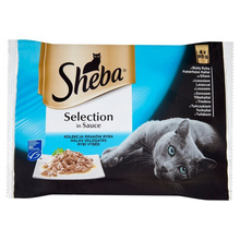 Märgtoit kassidele Sheba Selection in Sauce, kalamaitsete valik, 4 x 85 g