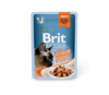 Konserv kassidele Brit Premium Cat Delicate Turkey in Gravy, 85 g