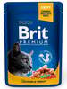 Märgtoit kassidele Brit Premium Salmon & Trout, 24 x 100 g