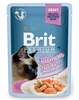 Brit Premium Cat Delicate lõhega, 24 x 85 g