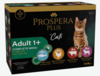 Märgtoit kassipoegadele Prospera Plus Cat Adult 1+ Kapsičky Multipack, 12 x 85 g