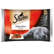 Märgtoit kassipoegadele Sheba Selection in Sauce, 4 x 85 g