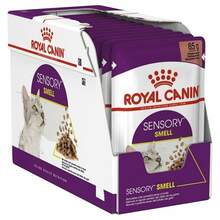 Märgtoit kassipoegadele Royal Canin Sensory Smell Gravy, 12x85 g