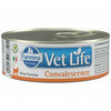 Farmina Vet Life Convalescence kassile 85 g