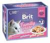 Märgtoit kassipoegadele Brit Care Cat Delicate Pouch Fillets in Jelly Family Plate, 12 x 85 g