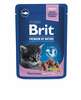 Märgtoit kassipoegadele Brit Premium White Fish Kitten, 24 x 100 g