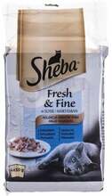 Märgtoit kassipoegadele Sheba Fresh & Fine Mini Fish Dishes in Sauce, 6x50g