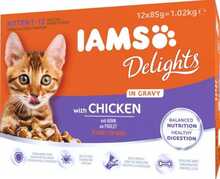 Märgtoit kassipoegadele Eukanuba IAMS Delights Kitten kanaga, 12 x 85 g