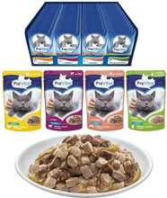 Kasside märgtoit Prevital Mix 4 Maitset, 96 x 100 g