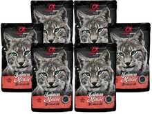 Märgtoit kassipoegadele Alpha Spirit Wet lõhega, 6 x 85 g