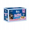 Märgtoit kassipoegadele Brit Premium by Nature Sterilised Plate, 12 x 85 g