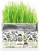 Kassimaius Record Fresh Catnip, 0.12 kg