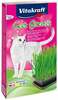 Kassimuru komplekt Vitakraft Cat Grass, 120 g