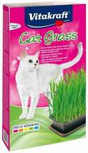Kassimuru komplekt Vitakraft Cat Grass, 120 g