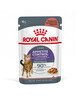 Märgtoit kassidele Royal Canin Appetite Control Gravy, 85 g, 12 tk