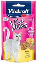 Maius kassidele Vitakraft Cat Yums juustuga, 40 g