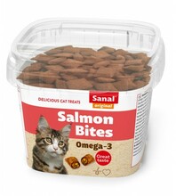 Sanal maiused kassidele Salmon Bites, 75 g