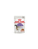 Märgtoit kassipoegadele Royal Canin Sterilised kastmes, 85 g, 12 tk