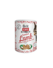 Maius kassidele Brit Care Cat Superfruits Lamb, 100 g