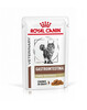 Royal Canin Veterinary Gastrointestinal Fibre Response märgtoit kassidele, 85 g, 12 tk