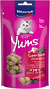 Vitakraft Cat Yums maius pardiga ja leedrimarjadega, 40 g