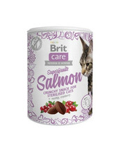 Kasside maius Brit Care Superfruits lõhega, 100g
