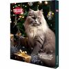 Trixie Premio advendikalender kassidele 0.15 kg, 24 tk