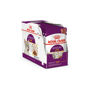 Märgtoit kassipoegadele Royal Canin Sensory Taste Jelly, 85 g, 12 tk