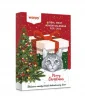 Jõulukalender kassidele Wanpy Xmas
