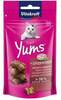 Vitakraft Cat Yums maius maksaga kassidele, 40 g