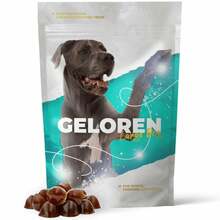 Geloren Large Dog liigesetoidulisand, 420 g, 60 tk