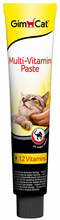 Gimborn Multi-Vitamin Paste Professional, 20 g