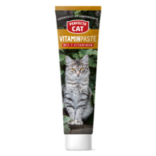 Perfecto Cat vitamiinipasta kassidele, 100 g