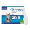 Effipro 50 mg tilklahus kassidele, N4