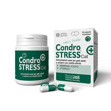 Innovet Condrostress+ Cat toidulisand kassidele, 30 tbl