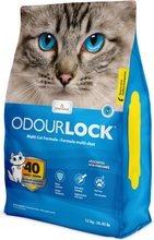 Lõhnatu kassiliiv Intersand OdourLock, 12 kg