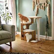Kasside kraapimispuu Feandrea, 88 cm, pruun vintage