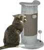 Kasside kraapimispost PawHut, 58 cm, hall