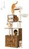 Kassipuu Feandrea Home, 185 cm, 60 x 52 x 185 cm, pruun
