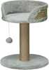 Kasside kraapimispuu PawHut, 49 cm, hall