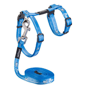 Traksid koos rihmaga Rogz Kiddycat, 24-40 cm, 1,8 m, sinine