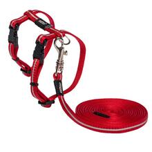 Kassi traksid koos rihmaga Rogz Alley Cat, 24-40 cm, punane