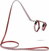 Kassi traksid jalutusrihmaga Beeztees Hearts, 120 cm x 10 mm, punane