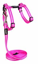 Kasside traksid koos rihmaga Rogz Alley Cat, 24-40 cm, 180 cm x 11 mm, roosa