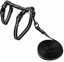 Traksid koos jalutusrihmaga Rogz Alleycat CLJ16A, 180 cm x 10 mm, must