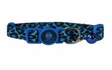 Kaelarihm kassile JIAXING SUNRAY OUTDOOR CO., LTD, sinine
